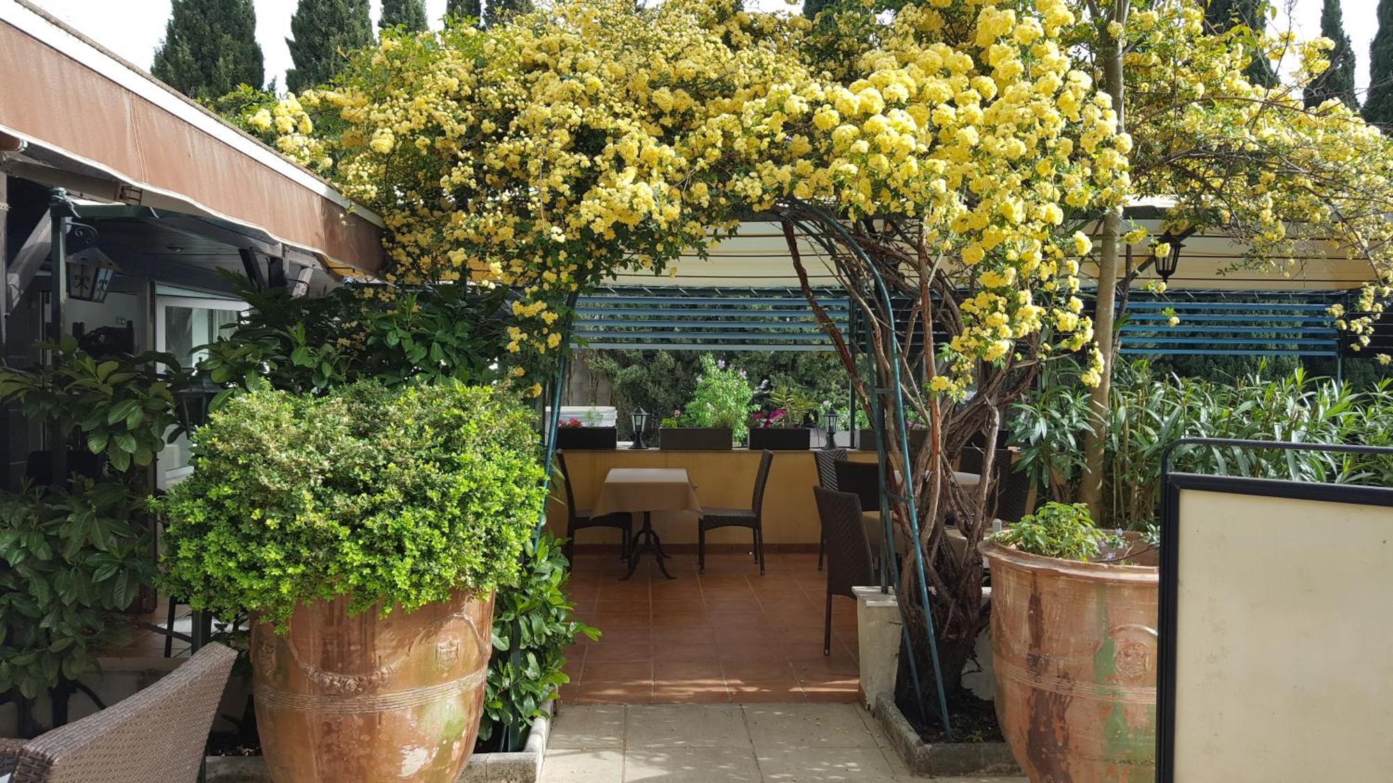 Logis Hotel - Restaurant Residence Les Cedres Villeneuve-lès-Avignon 외부 사진
