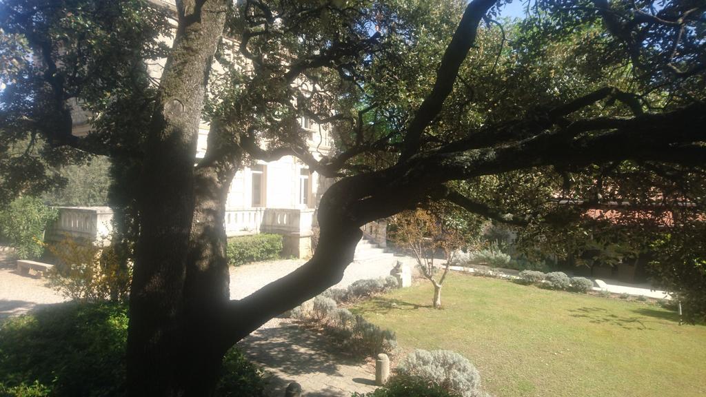 Logis Hotel - Restaurant Residence Les Cedres Villeneuve-lès-Avignon 외부 사진